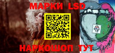 ECSTASY Новозыбков