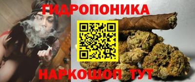 ECSTASY Новозыбков