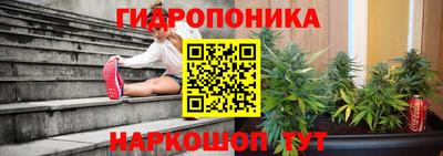 ECSTASY Новозыбков