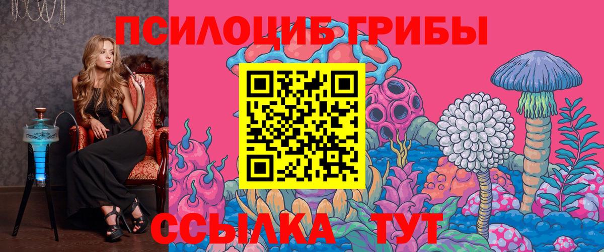 Чебаркуль  Галлюциногенные грибы Psilocybe  Вход с VPN  купить наркотики сайты  Галлюциногенные грибы Magic Shrooms 